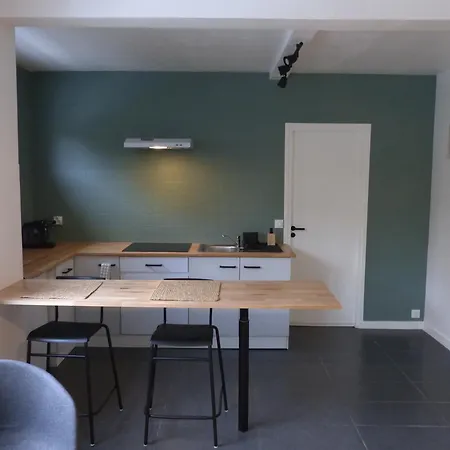 Appartement- La Madeleine * Rijsel